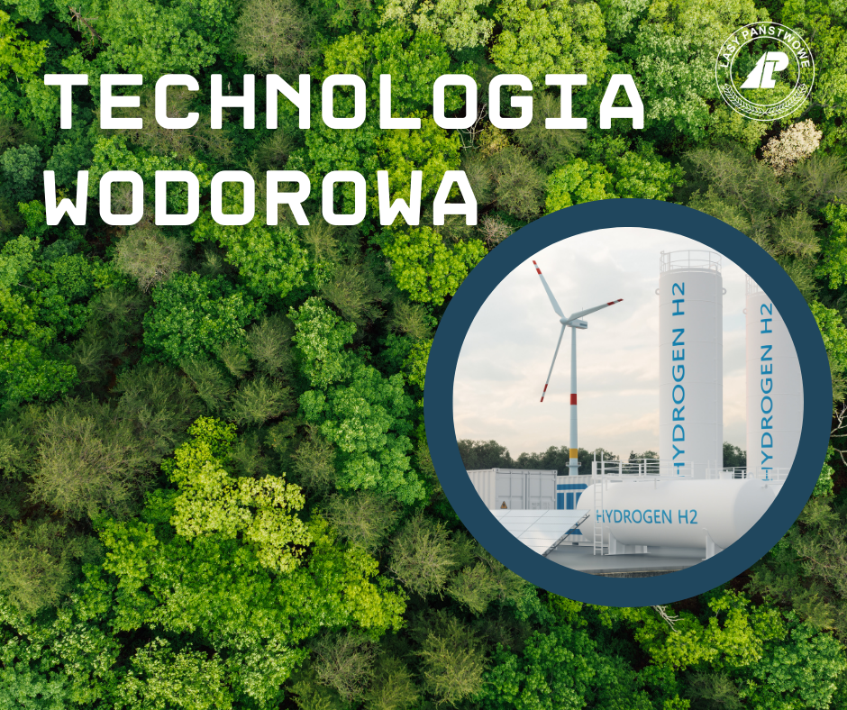 Grafika przedstawia technologię powiązaną z wodorem na tle lasu i logo Lasów Państwowych. Canva