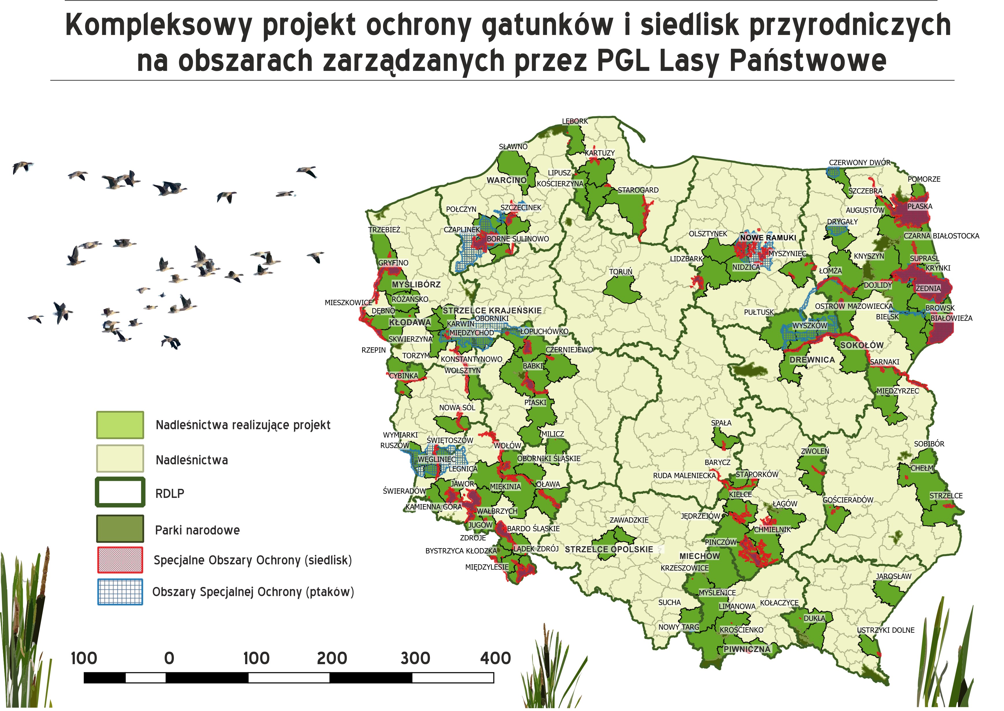 Zdjęcie przedstawia mapę Polski z zaznaczonymi na zielono nadleśnictwami, które wzięły udział w projekcie. Źródło: CKPŚ