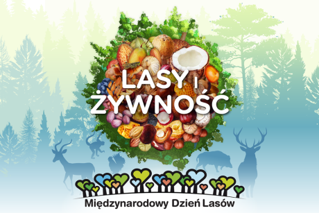 Międzynarodowy Dzień Lasów 2025